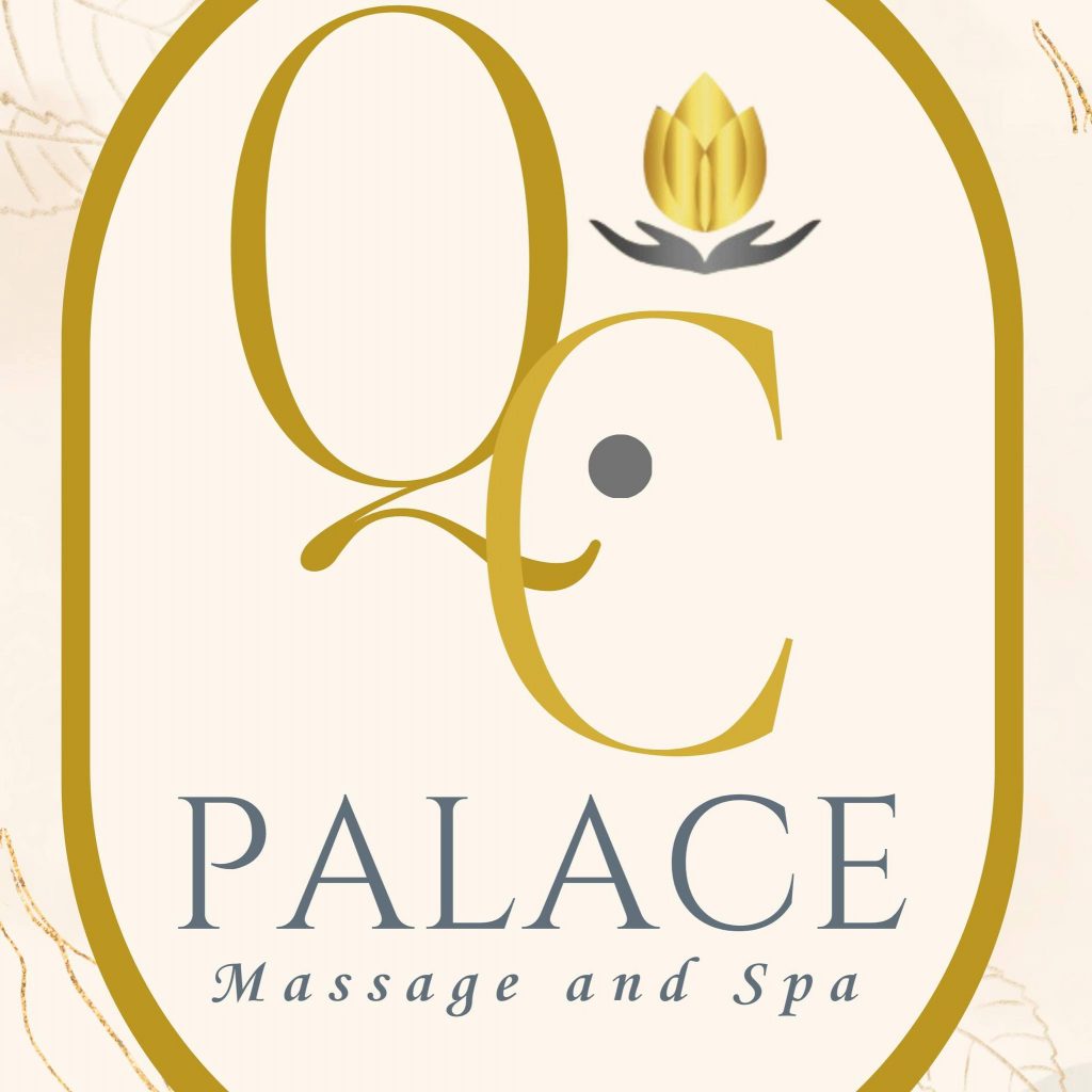 481129786_1153498946777815_7949426319141368883_n