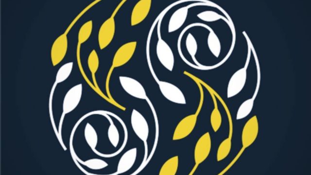 482213623_1125319452725276_1996337868341502896_n