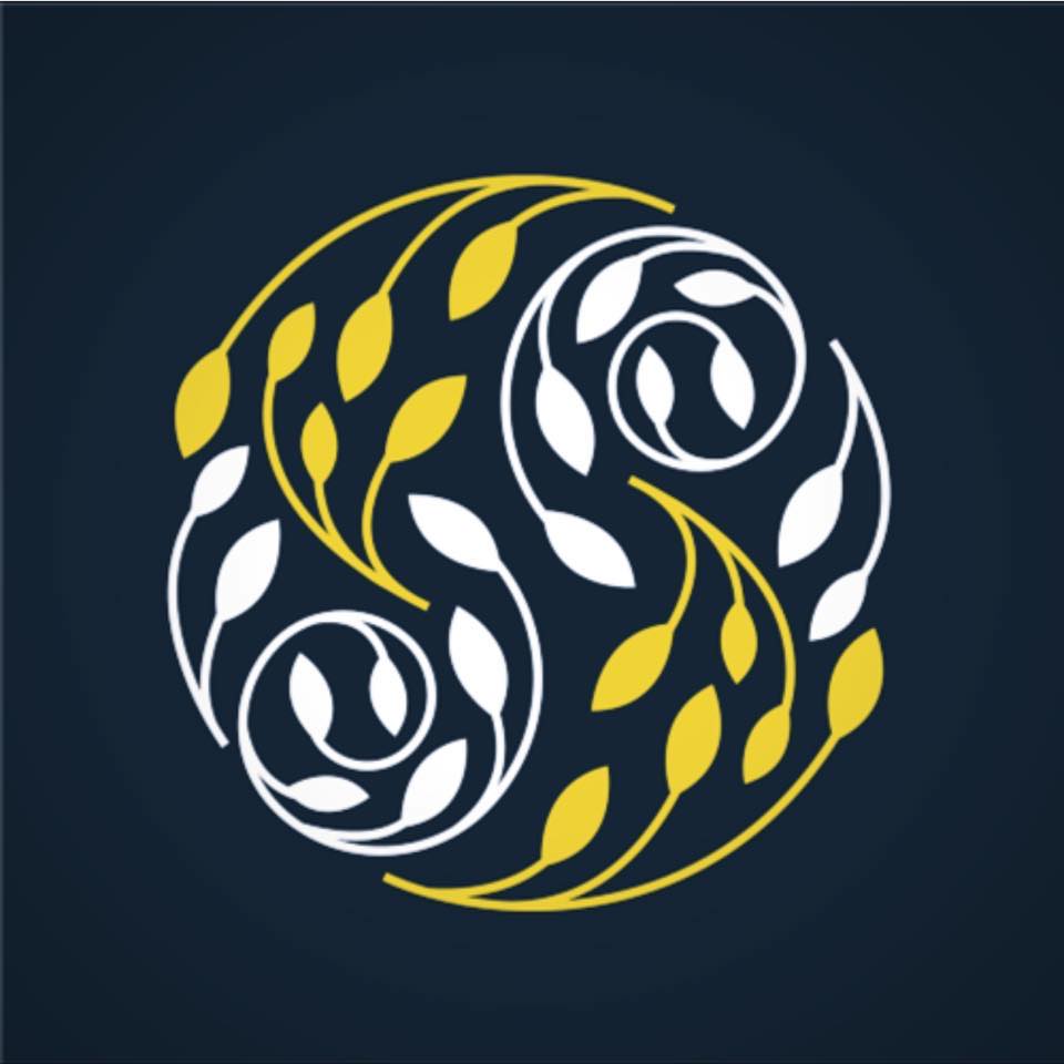 482213623_1125319452725276_1996337868341502896_n