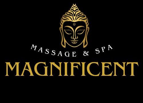 585347123_825300343454048_2971812756585383528_n